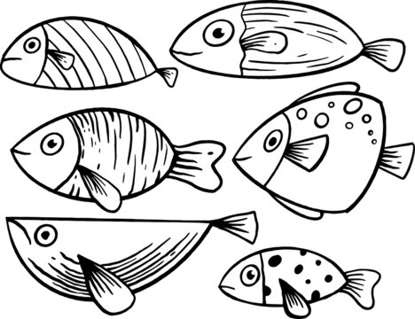 collection hand drawn fish doodle kids illustration for  stickers poster etc