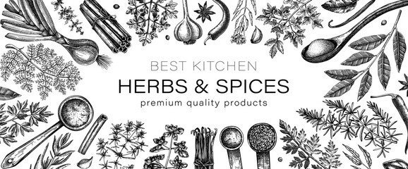 Hand drawn herbs and spices vector frame design. Hand sketched food illustration. Vintage aromatic plants banner template. Sketched style. Kitchen spice and herbs black and white design