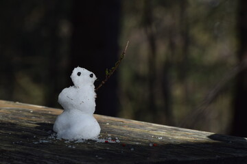 Mały bałwanek na stole, brak śniegu. © Grzegorz