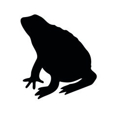 Vector hand drawn frog silhouette isolated on white background