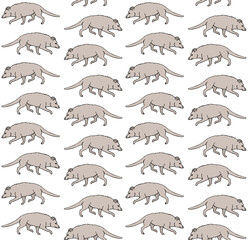 Vector seamless pattern of hand drawn doodle sketch colored opossum isolated on white background