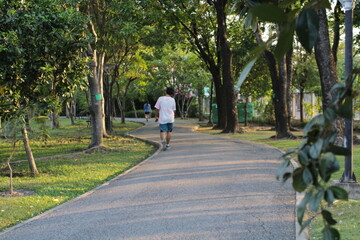 walk in the park
