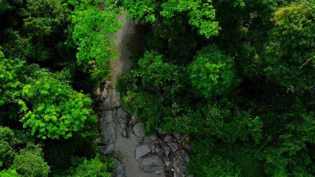 Flight over river between the mountains in tropical rainforest in Ko Samui, Thailand