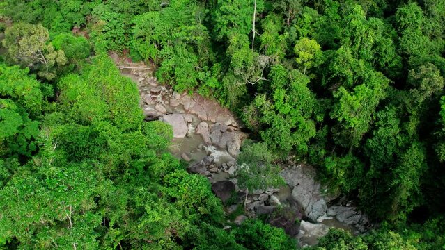 Flight over creek in tropical jungle, healthy rainforest in Ko Samui, Thailand