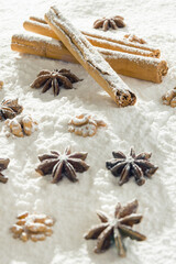 Dry cinnamon, star anise and wallnuts in icing sugar as snow