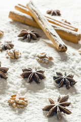 Dry cinnamon, star anise and wallnuts in icing sugar as snow