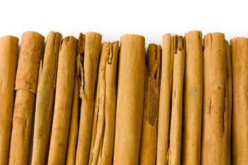 Rolled dry cinnamon isolated on a white background