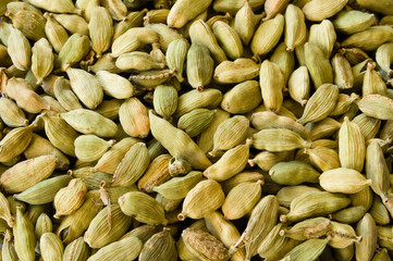 Closeup of a heap of dry green cardamons