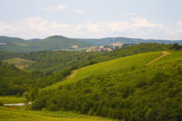 Obraz premium Chianti landscapes