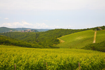 Chianti landscapes