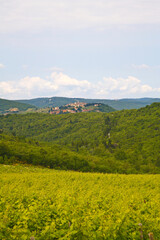 Chianti landscapes