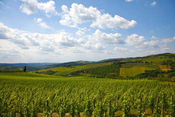 Chianti landscapes