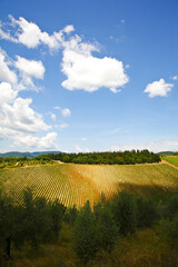 Chianti landscapes
