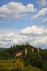 Fototapeta na wymiar Chianti, paesaggio coltivato a vigna. Toscana, Italia