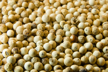 Closeup of whole white peppercorns on a heap