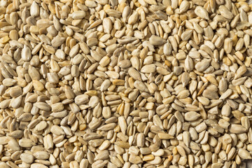Raw Dry Organic Sunflower Seed Kernels