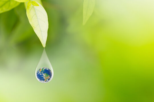 Earth in water drop under green leaf, International Earth Day and World Environment Day Concept, Elements of this image furnished by NASA