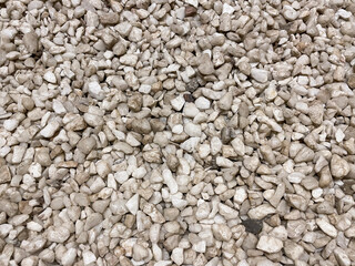 background of white little stones