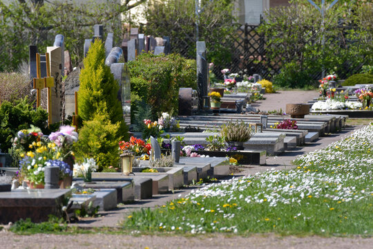 friedhof
