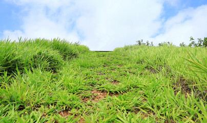paht way to top of hill and green meadow