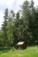 house in forest