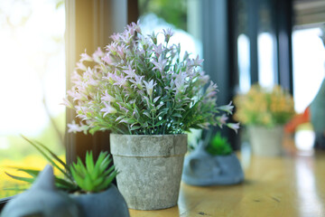 flower pot on the table beside the window.