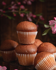 Stack of tasty chocolate muffins on a dark rustic background.