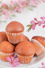 Many fresh vanilla muffins with pink almond flowers on a light background.