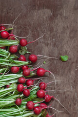 Fresh red radish with green leaves on a wooden rustic background.