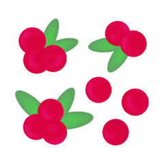 Cranberry. Berries and leaves. Vector set