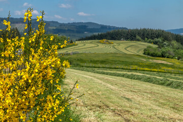 Paysage de la Vallée de l' Azergues à Saint -Just d' Avray dans le Rhône au printemps
