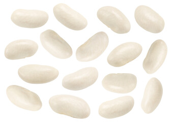 white beans isolated on white. the entire image is sharpness.