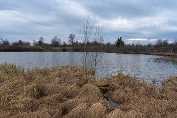 Spring soothing landscape with a picturesque forest lake with banks overgrown with dry grass and a cloudy watercolor sky. Leafless trees and shrubs. Russia, Ural