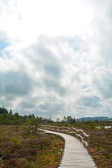 Wooden footbridge in the  bog, with sky