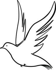 vector flying dove, flying pigeon