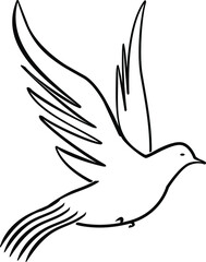 vector dove with long tail, pigeon vector