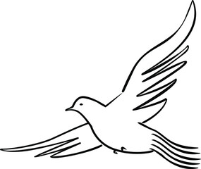 flying pigeon vector with long tail