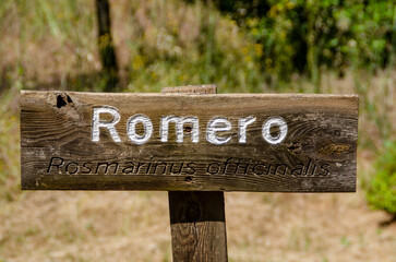 Romero, rosemary, rosmarinus officinalis , tree or plant wooden sign
