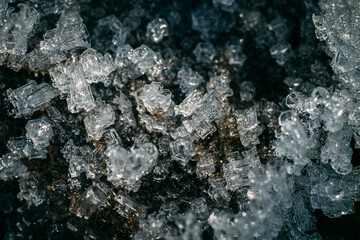 close up of frozen water in morning