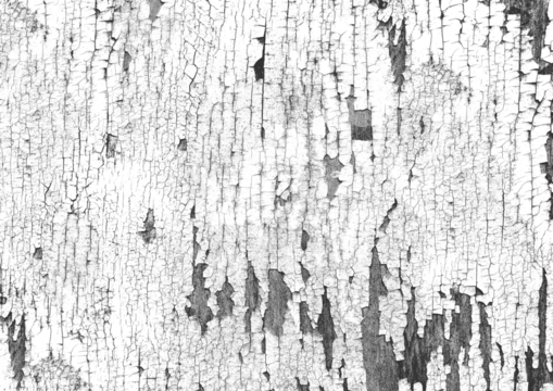 wood grain texture with a transparent background