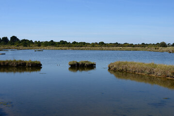 Marais salant