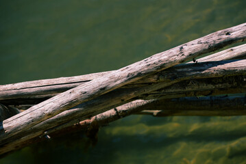 Clôture bois tressé