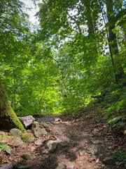 Hiking trail at Siebengebirge mountain range in Germany.