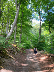Woman hiking on a trail at Siebengebirge mountain range in Germany.