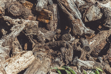 Troncos de una montaña de leña