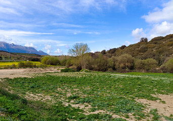 Meadows with mountains
