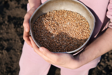 Close up on hands holding old metal bowl full of wheats on a background of black earth. The concept...