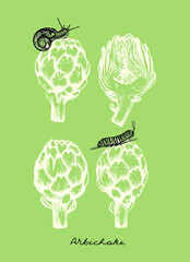 illustration of artichokes on green background