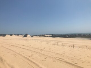 sand dunes in park