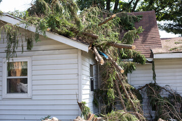 Home storm damage. insurance storm. Storm damage. Roof damage from tree that fell over during...